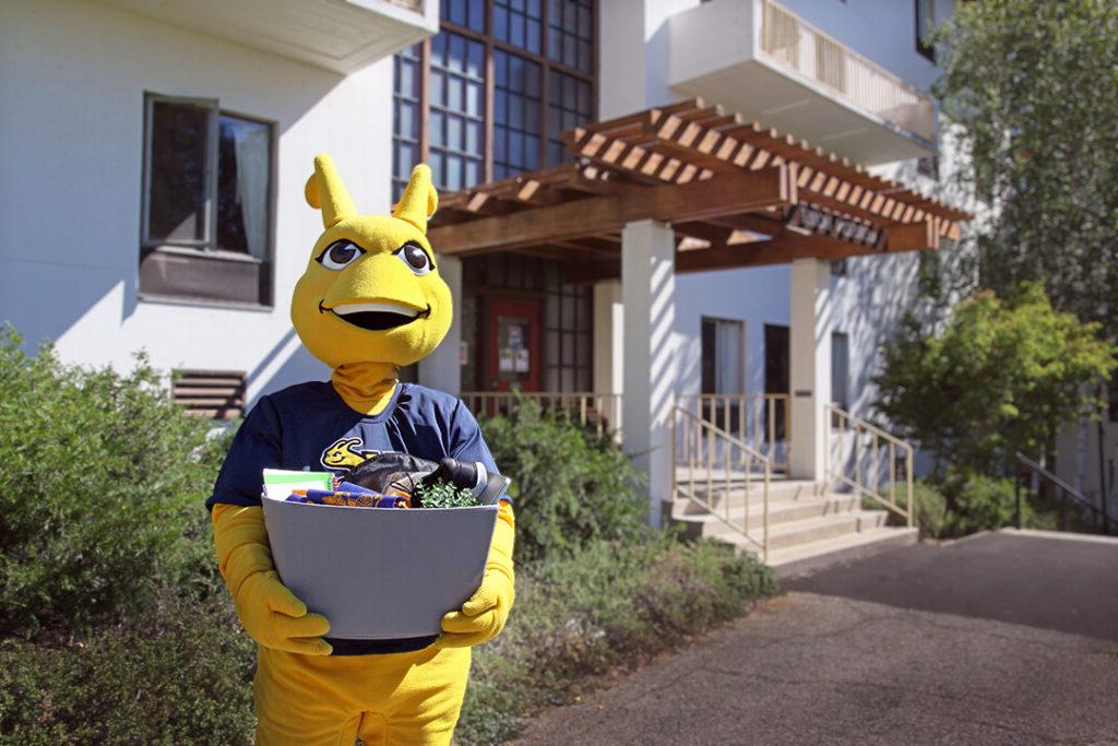Mascot holding a box as if they are moving into one of the colleges.